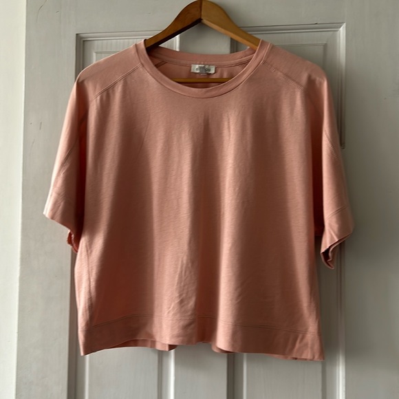 Ella Moss Cropped Tee Shirt - Picture 1 of 7